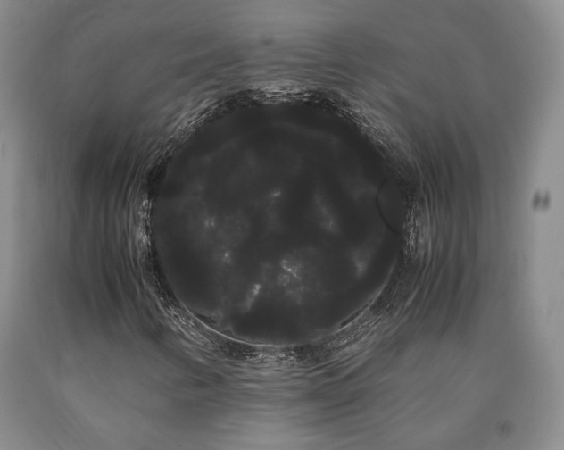 X0000090861346200707271220