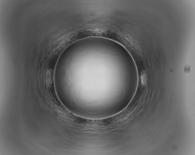 X0000090861347200707271220