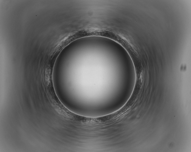 X0000090861348200707271220