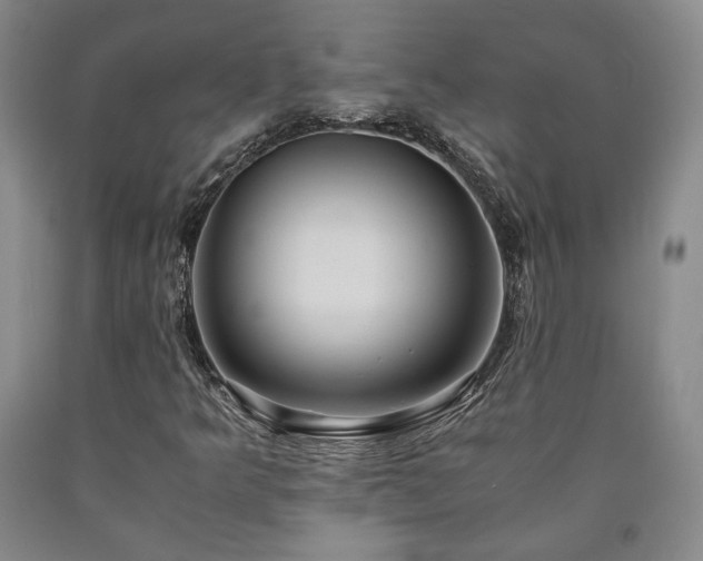 X0000090861349200707271220