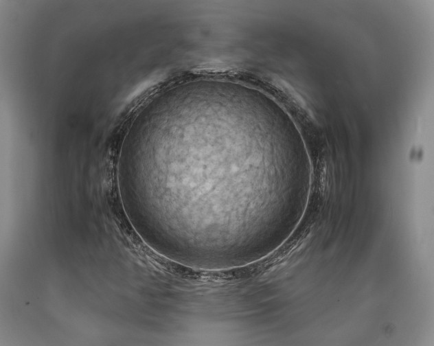 X0000090861350200707271220