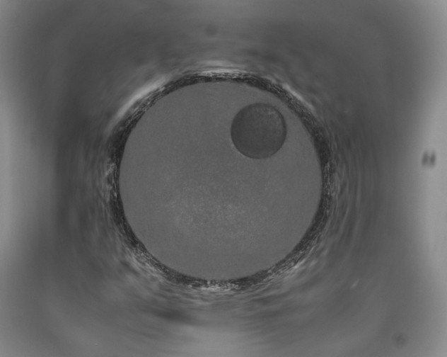 X0000090861351200707271220
