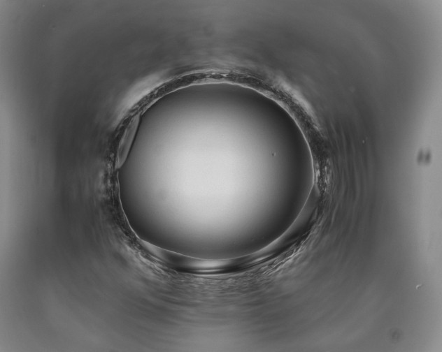 X0000090861352200707271220