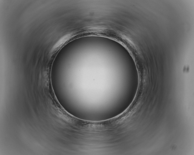 X0000090861354200707271220