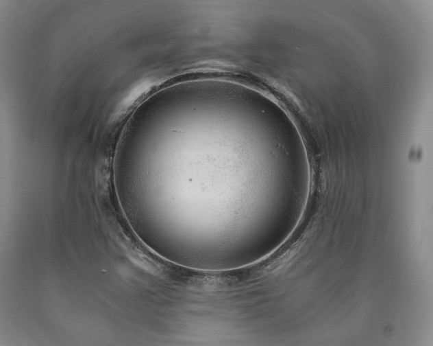 X0000090861355200707271220