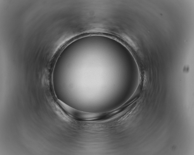 X0000090861356200707271220