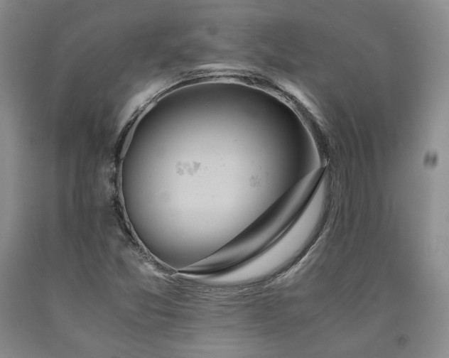 X0000090861357200707271220