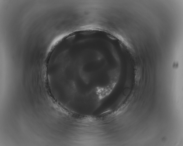 X0000090861358200707271220