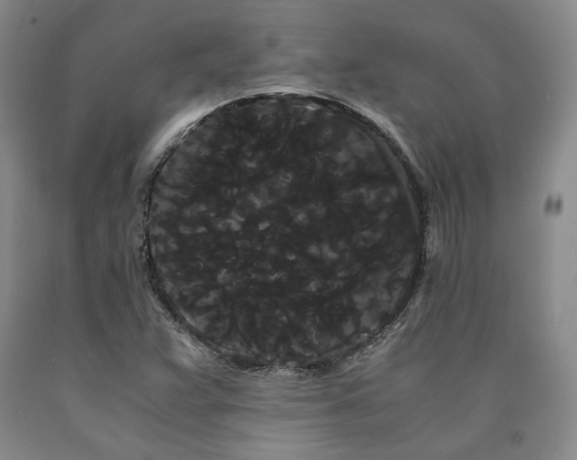 X0000090861359200707271220