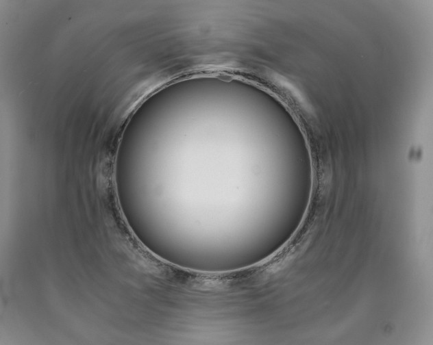 X0000090861361200707271220