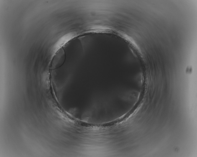 X0000090861362200707271220