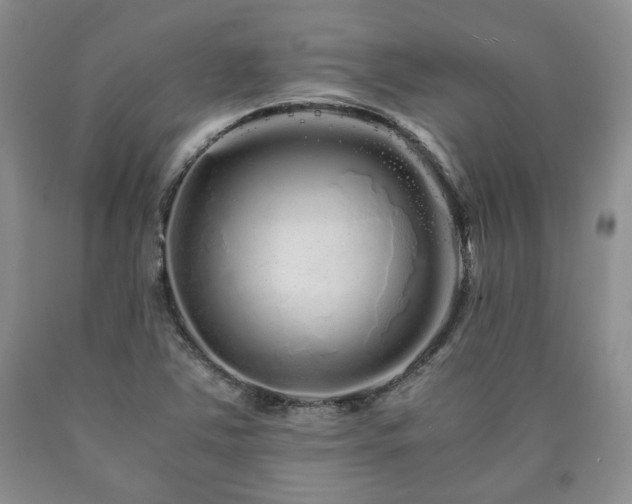 X0000090861363200707271220