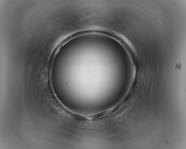 X0000090861364200707271220