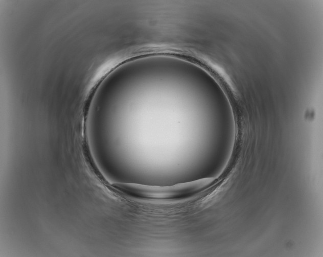 X0000090861365200707271220