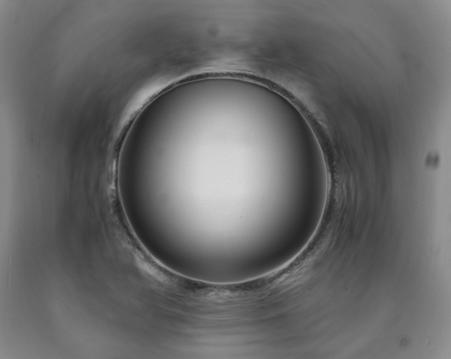 X0000090861366200707271220