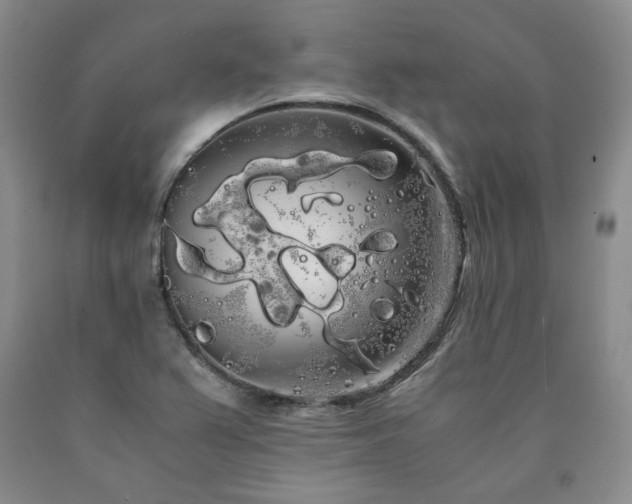X0000090861367200707271220