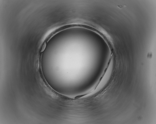 X0000090861368200707271220