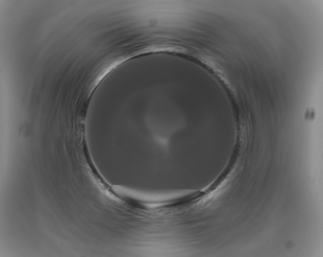 X0000090861369200707271220