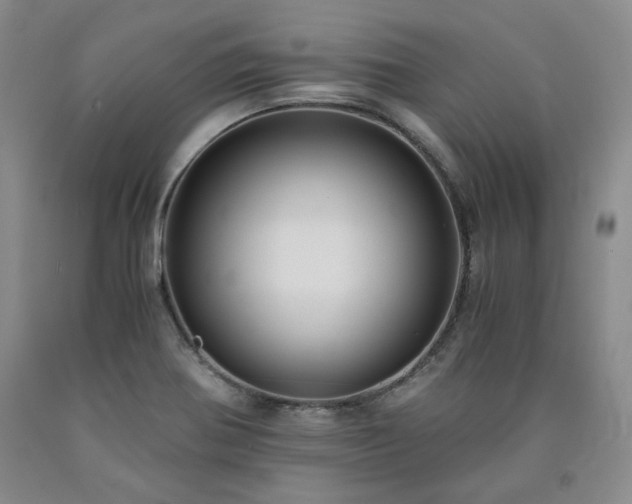 X0000090861370200707271220
