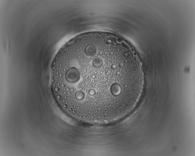 X0000090861371200707271220