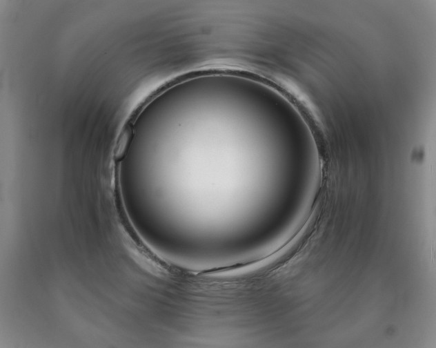 X0000090861372200707271220
