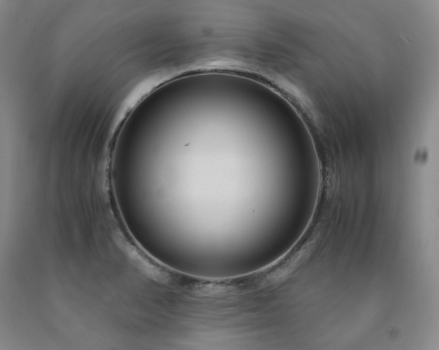 X0000090861374200707271219