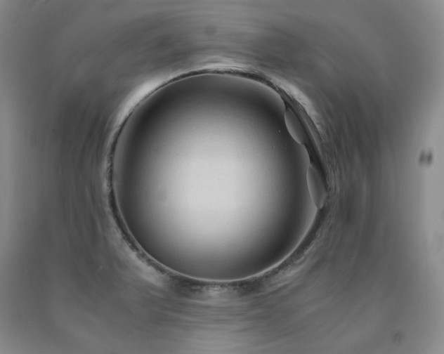 X0000090861375200707271219