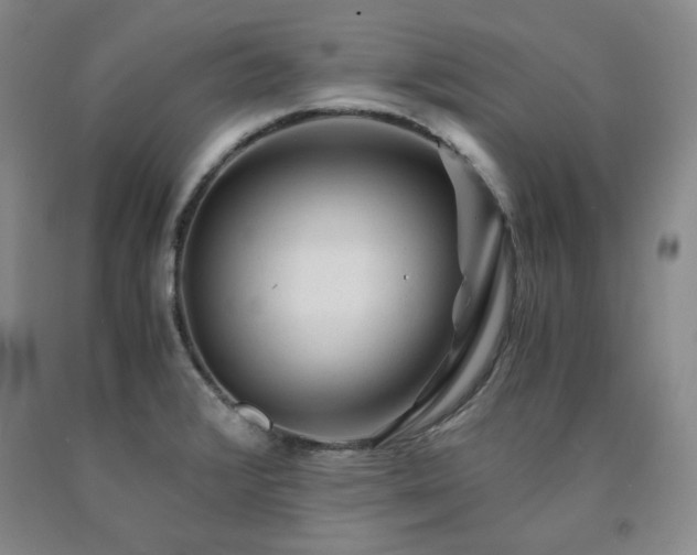 X0000090861376200707271219