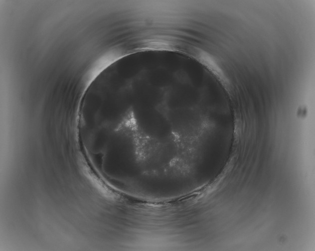 X0000090861378200707271219