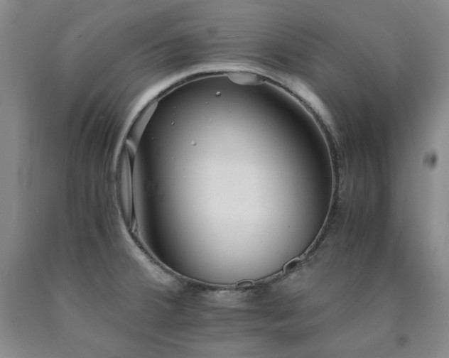 X0000090861380200707271219