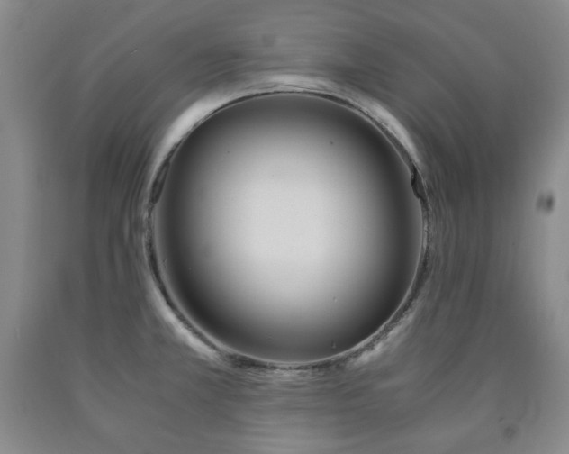 X0000090861381200707271219