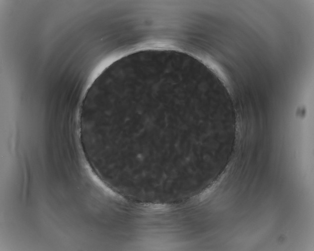 X0000090861382200707271219