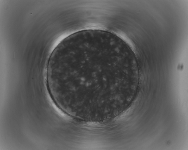 X0000090861383200707271219