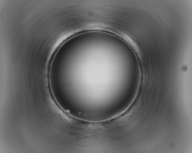 X0000090861384200707271219