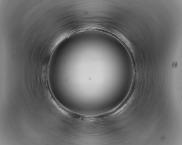 X0000090861385200707271219