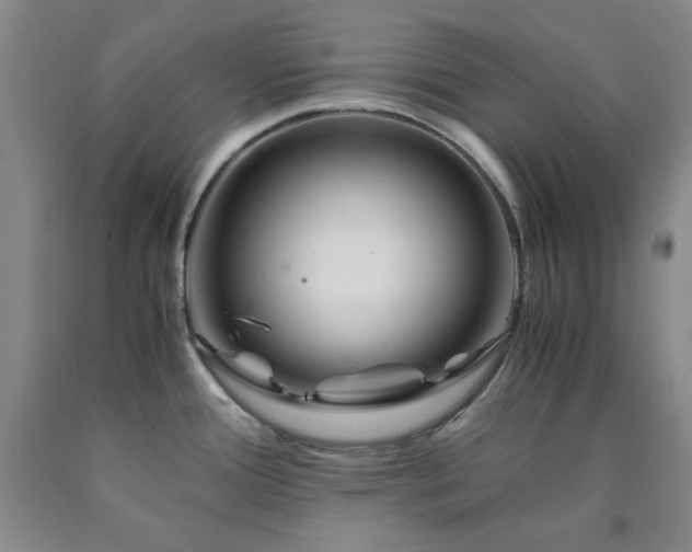 X0000090861388200707271219