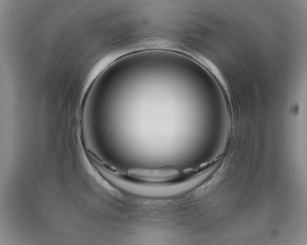 X0000090861389200707271219