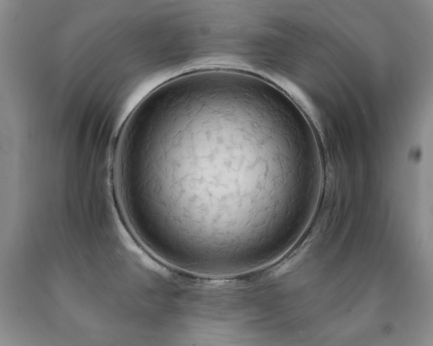 X0000090861390200707271219