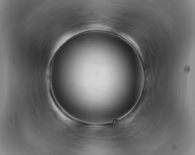 X0000090861391200707271219