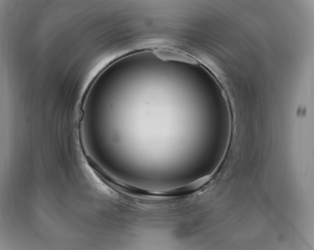 X0000090861392200707271219