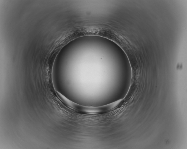 X0000090861394200707271219