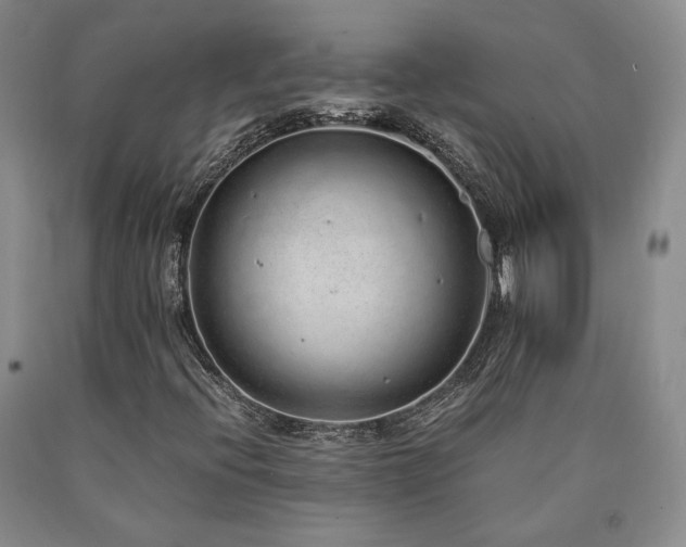 X0000090861396200707271219