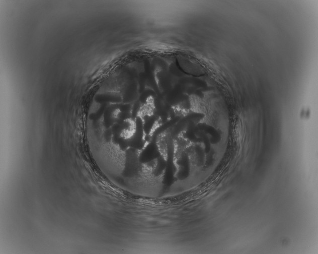 X0000090861397200707271219