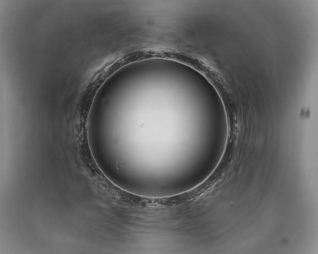X0000090861398200707271219