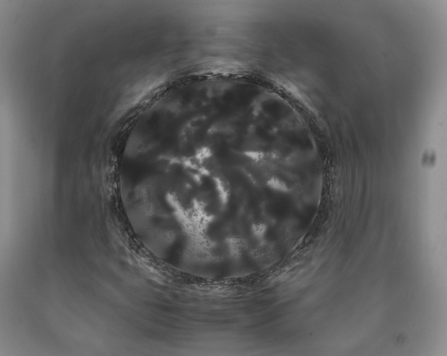 X0000090861399200707271219