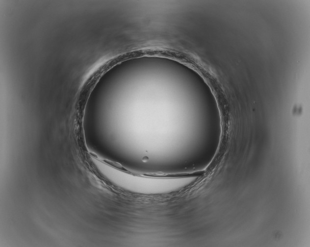 X0000090861400200707271219