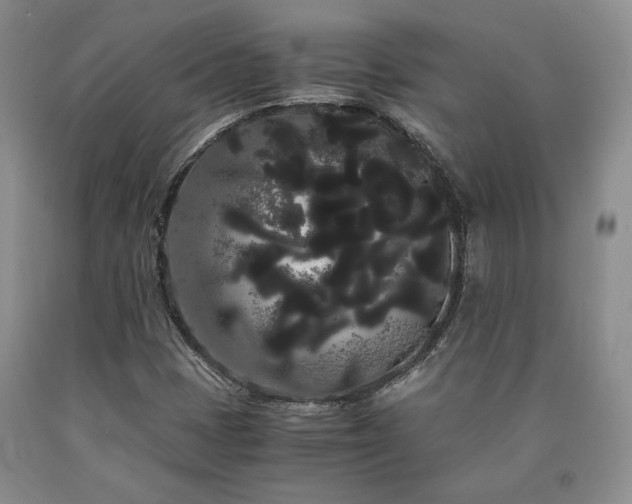 X0000090861401200707271219