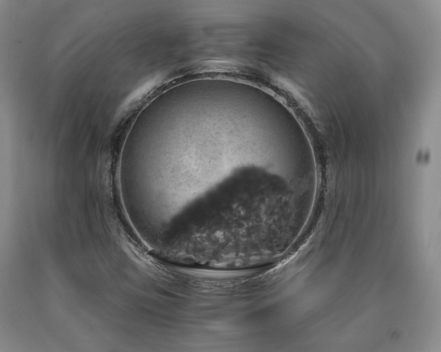 X0000090861403200707271219