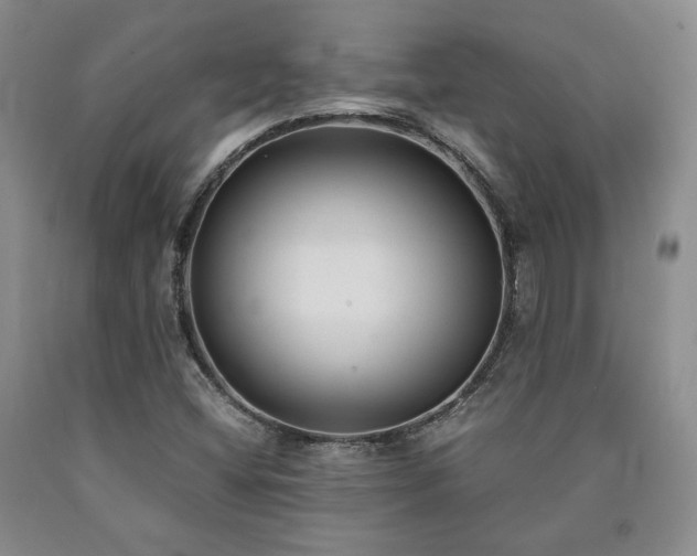 X0000090861404200707271219