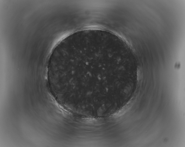 X0000090861405200707271219